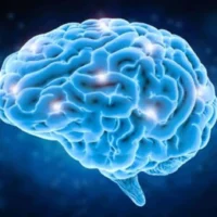 vue d'un cerveau avec espace brillants décrivant l'intelligence émotionnelle