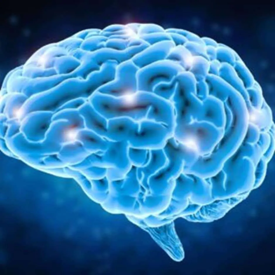 vue d'un cerveau avec espace brillants décrivant l'intelligence émotionnelle
